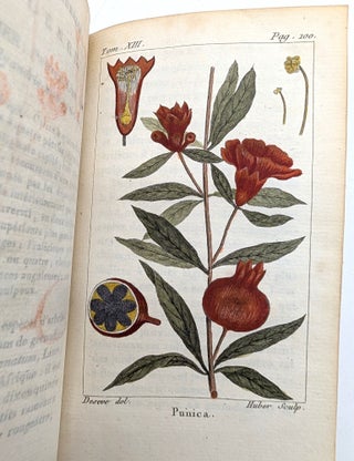 Histoire Naturelle de Buffon, classée par ordres, genres et espèces, d'après le systême de Linné; Avec les Caractères Génériques et la nomenclature Linnéenne; Par René-Richard Castel, auteur du poëme des Plantes (80 volumes)