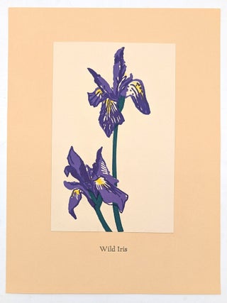 New Mexico Wildflowers: A Suite of Fourteen Linoleum Block Prints (Booklet with 11 prints)