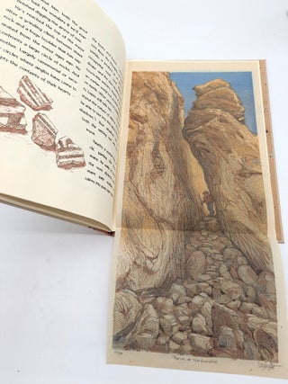 Chaco Sojourn: Chaco Sojourn; He Belongs to Nobody; The Girl who Painted Gourds; Desert Threnody (4 volumes)
