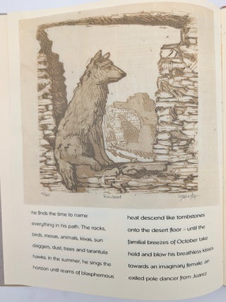 Chaco Sojourn: Chaco Sojourn; He Belongs to Nobody; The Girl who Painted Gourds; Desert Threnody (4 volumes)